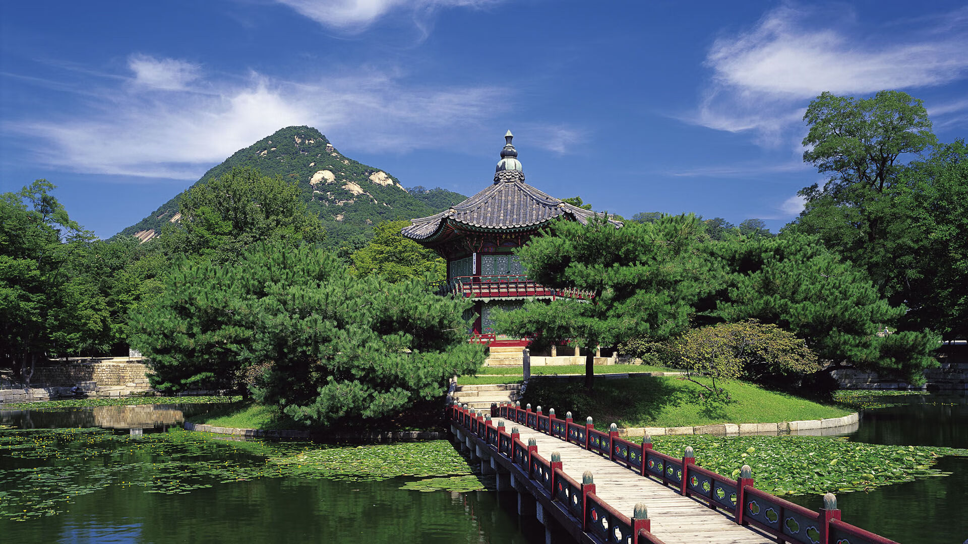 开云体育app-世界排名争夺战，尼日利亚闪电战击溃波兰，非洲雄鹰展翅高飞！